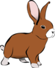 Mauerhase